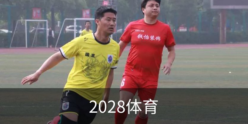 了解2028体育